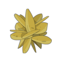 Fichier:Rose des sables.png