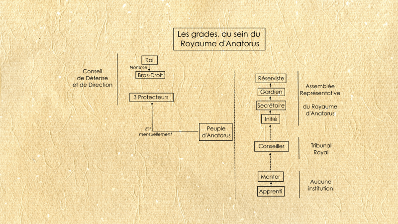 Fichier:Orga anatorus.png